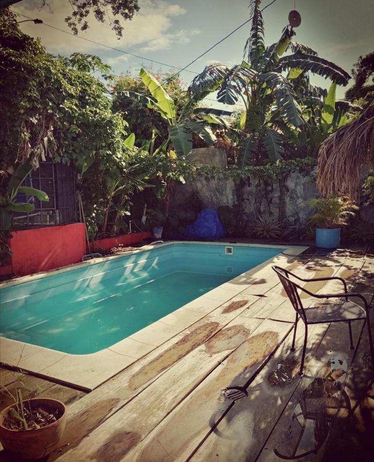 Meanwhile In Veracruz Kültér fotó