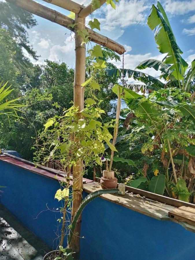 Meanwhile In Veracruz Kültér fotó