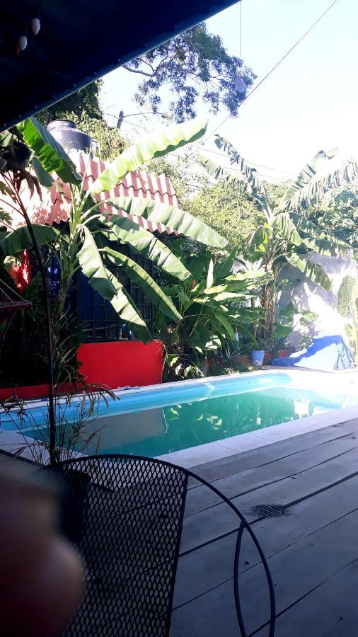 Meanwhile In Veracruz Kültér fotó
