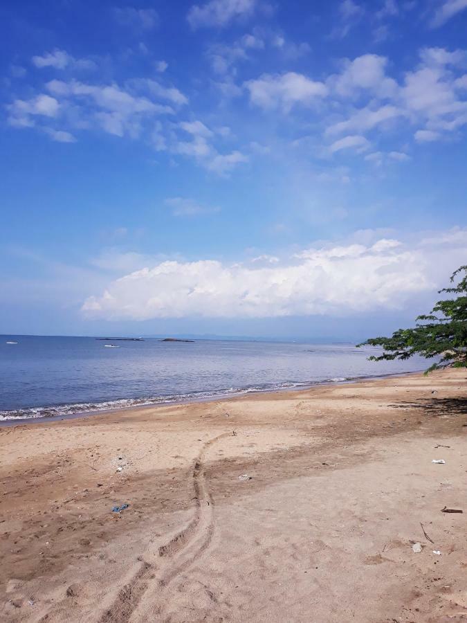 Meanwhile In Veracruz Kültér fotó